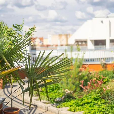 Rooftop City With Deep Garage בודפשט
